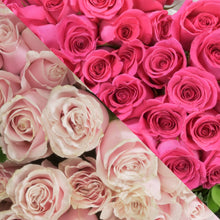 Load image into Gallery viewer, Blush Pink & Hot Pink Roses