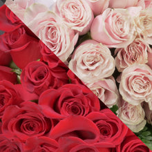 Load image into Gallery viewer, Red & Blush Pink Roses