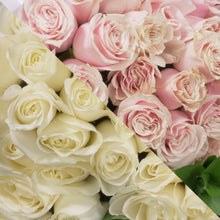 Load image into Gallery viewer, White &  Blush Pink Roses