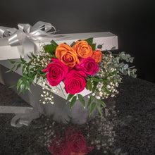 Load image into Gallery viewer,  6 Roses / Boxed / Fancy