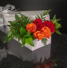 Load image into Gallery viewer,  6 Roses / Boxed / Basic