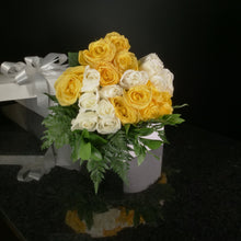 Load image into Gallery viewer,  24 Roses / Boxed / Basic