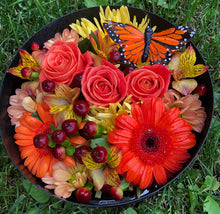 Load image into Gallery viewer, Ottawa Autumn In a Box