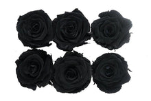 Load image into Gallery viewer, Black Eternal Roses