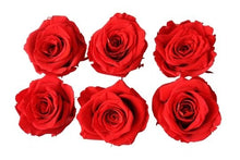 Load image into Gallery viewer, Red Eternal Roses