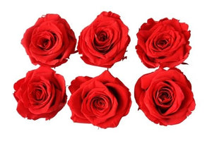 Red Eternal Roses