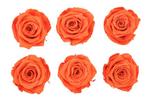 Load image into Gallery viewer, Orange Eternal Roses