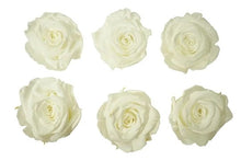 Load image into Gallery viewer, White Eternal Roses