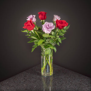  6 Roses / Vase / Basic