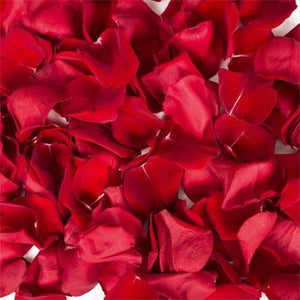 Fresh Red Rose Petals