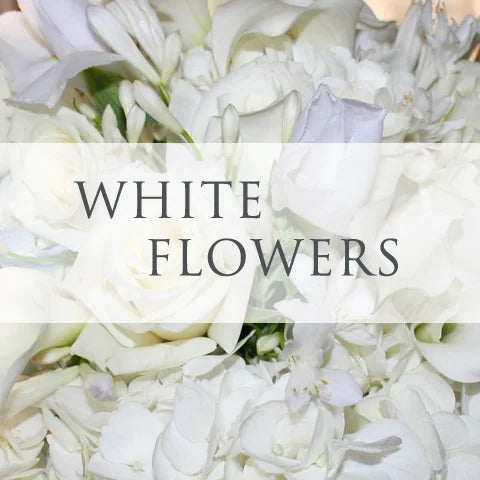 White Flowers