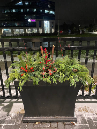 Outdoor Festive Planter #4