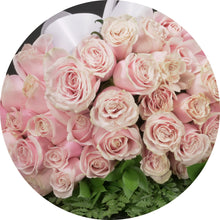 Load image into Gallery viewer, Blush Pink  Roses