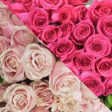 Load image into Gallery viewer, Blush Pink &amp; Hot Pink Roses