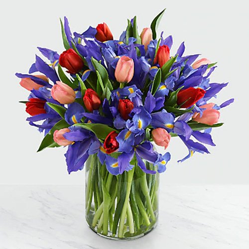 Irises and Tulips in a Glass Vase