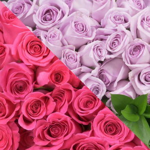 Hot Pink & Lavender Roses