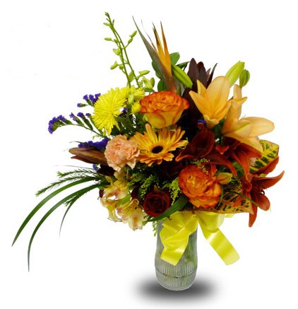Everyday Autumn Flowers