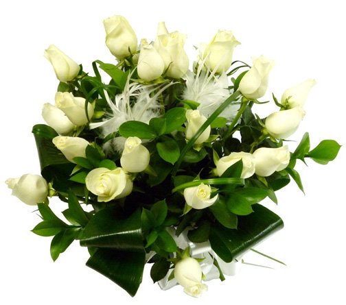24 White roses