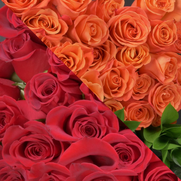 Red & Orange Roses